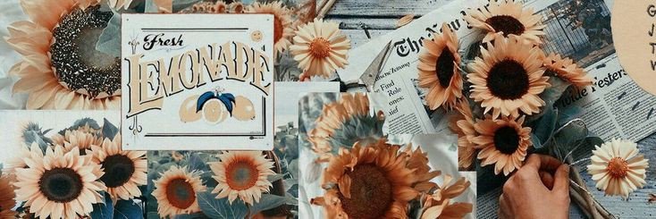 PaulaMackenna's profile banner image