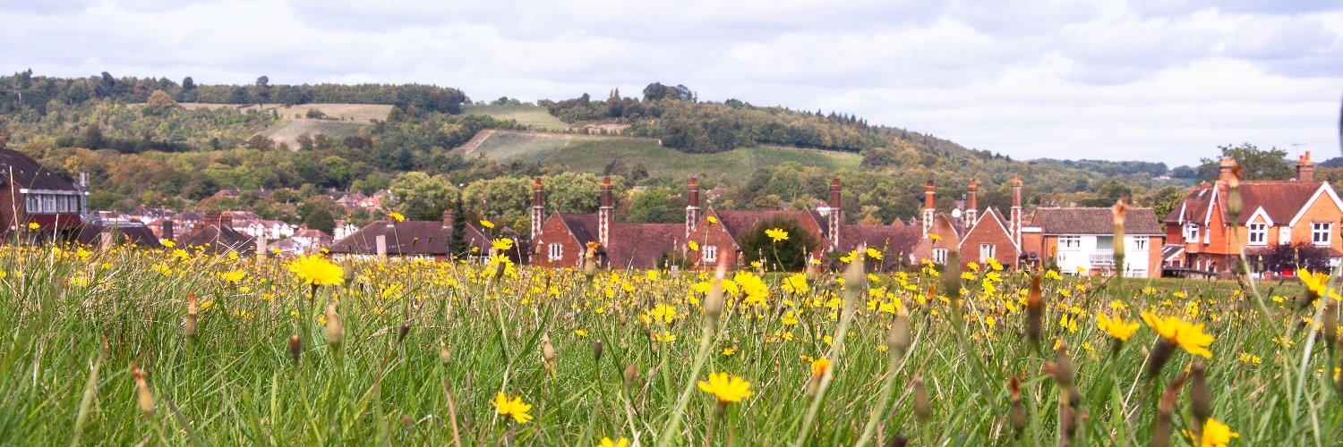 Mole Valley District Council banner