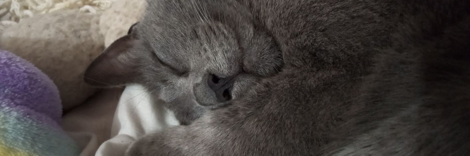 Flloor_R's profile banner image