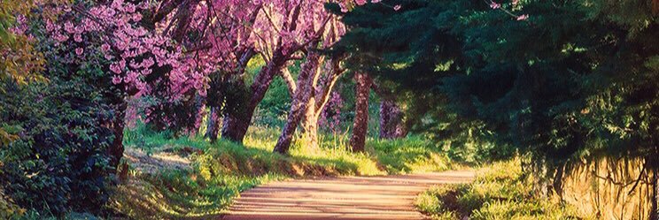 Entumiradaestoy's profile banner image