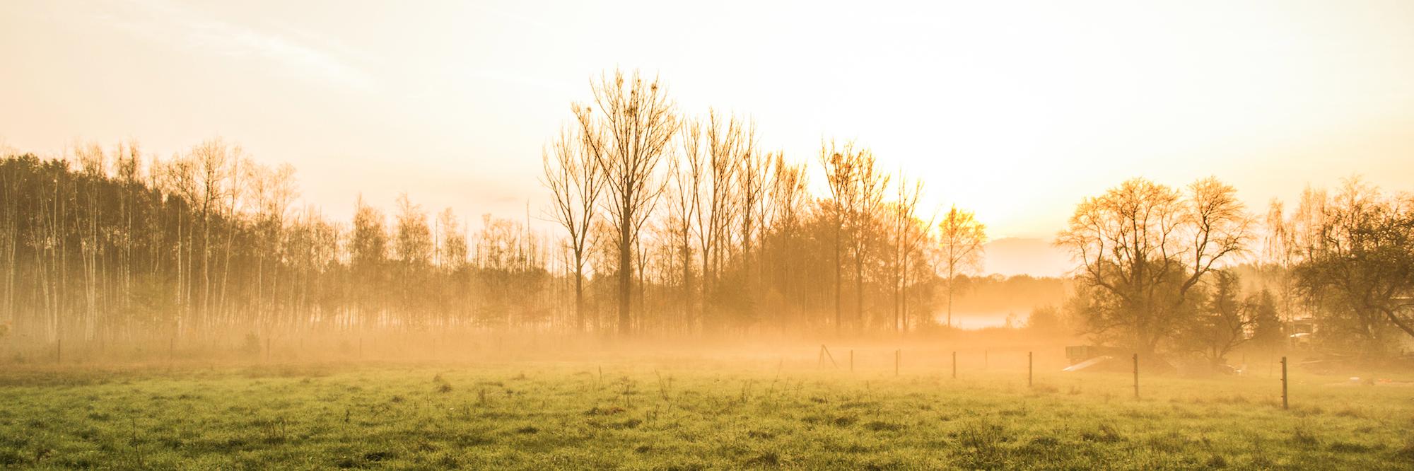 Lausitz☀️ banner