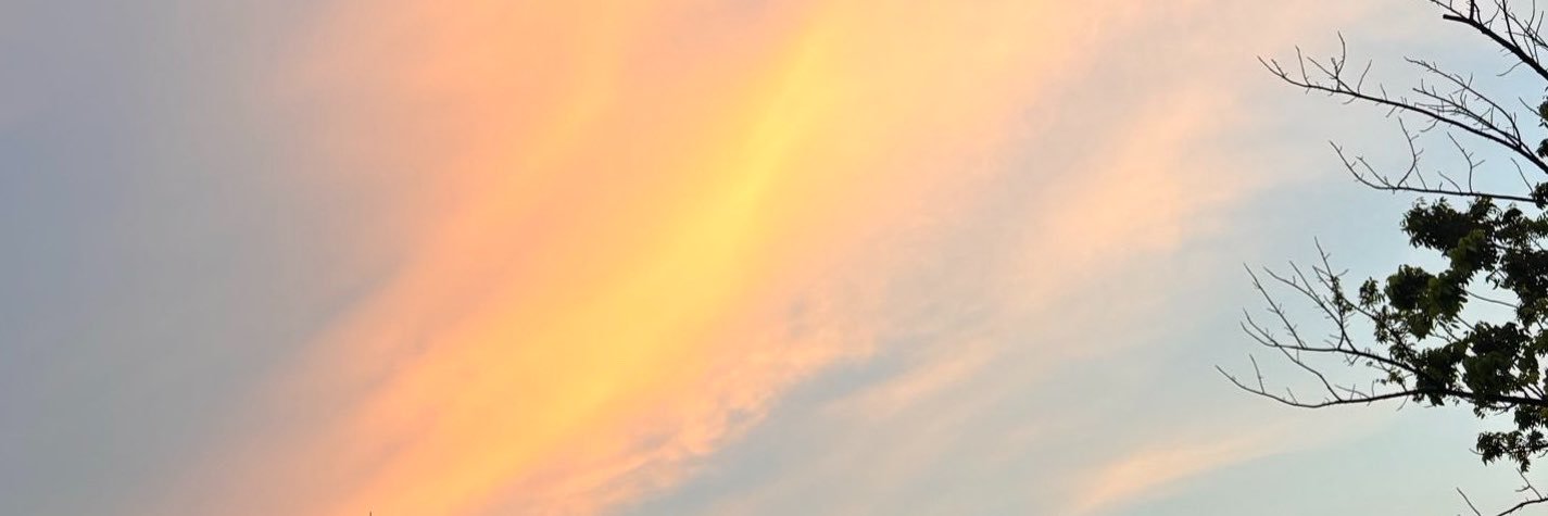 petitdust's profile banner image
