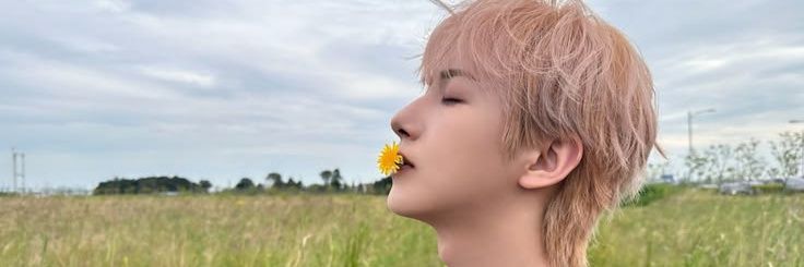 syaci•••❀ #ROLO 🦊💛 banner