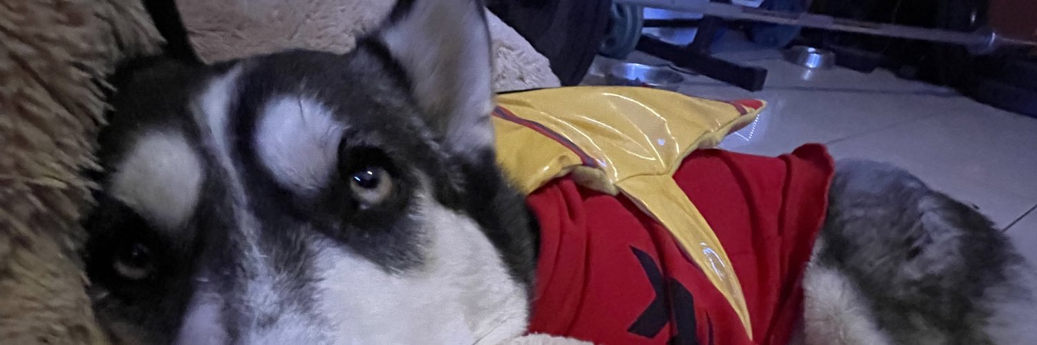 carolineiscool's profile banner image