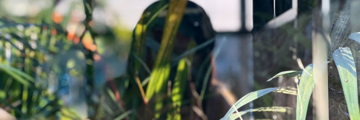 ไม่ไหวแต่ฝืน banner