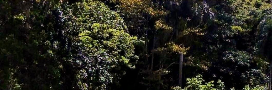 Jeadames's profile banner image