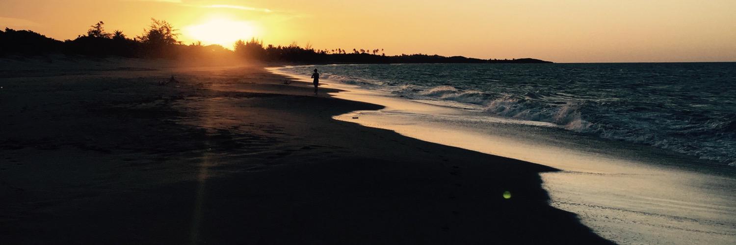 Siobhan Mulkerrins banner