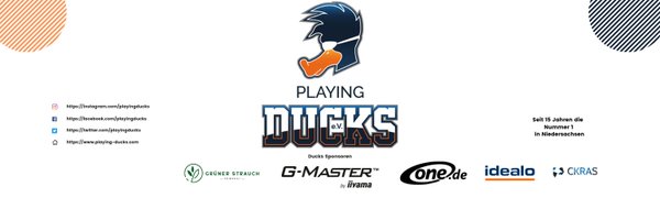 PlayingDucks Profile Banner