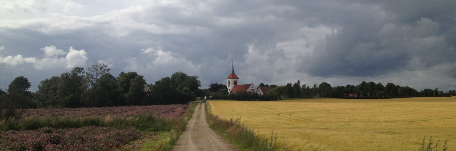 Albert Säfström banner