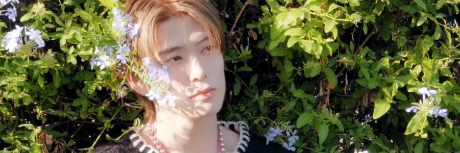 𐙚 Printer✧✟ banner