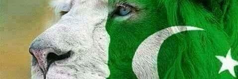 ZHSAQIB's profile banner image