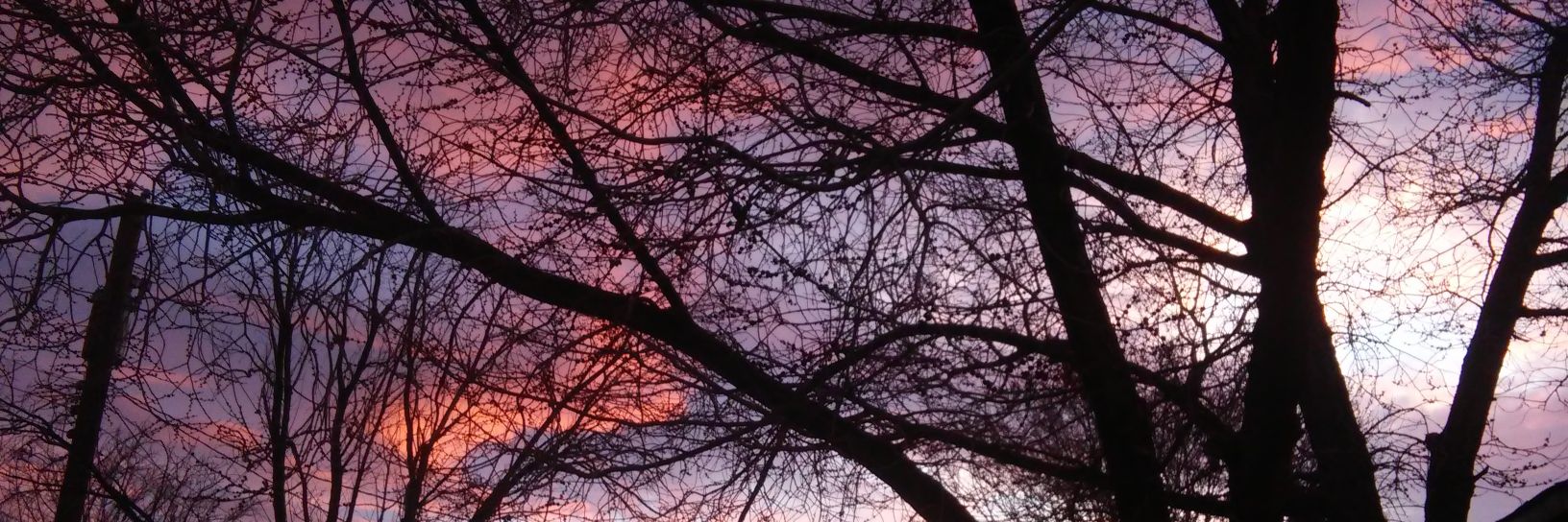 IvySandoval85's profile banner image