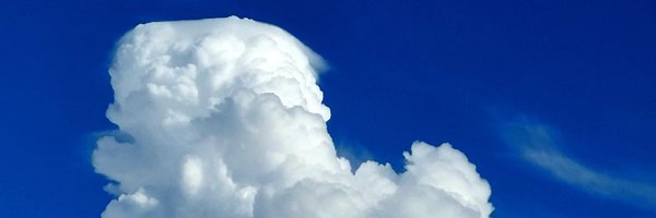 mjbwriter Profile Banner