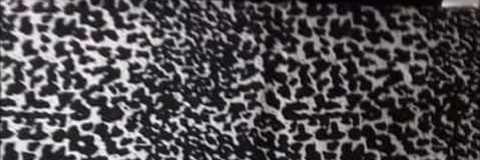 TiroCafe's profile banner image