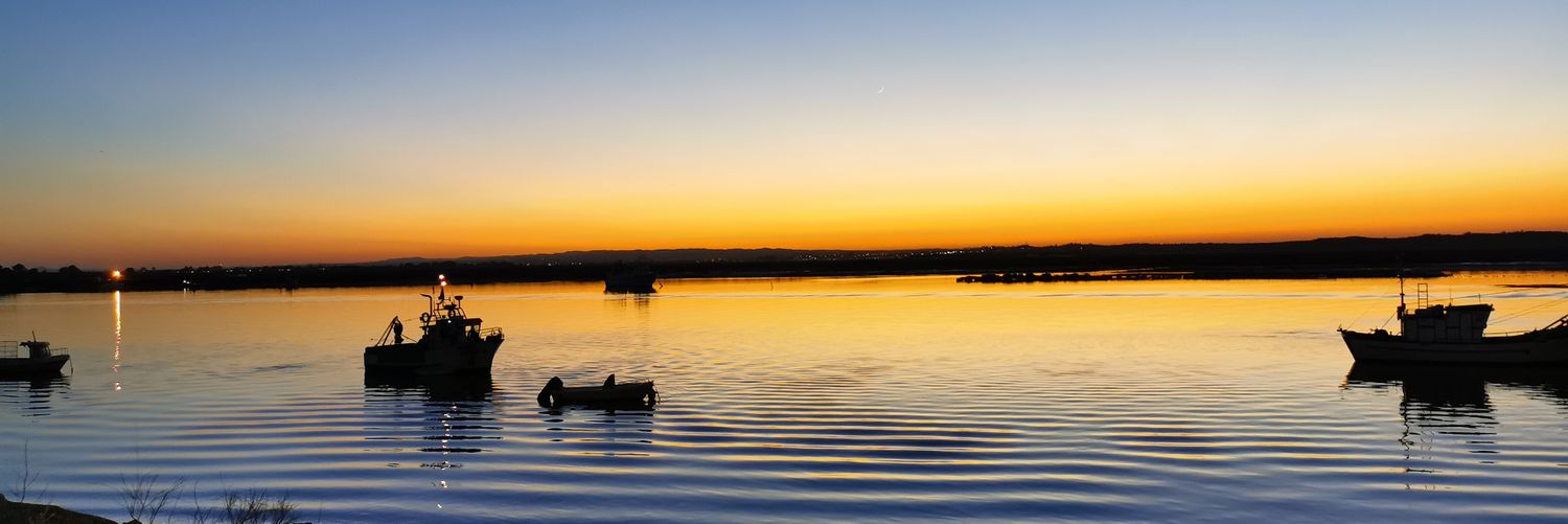 Guillermo Rodríguez 💚🤍💚 banner