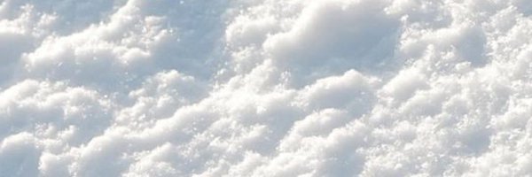 lish_416 Profile Banner