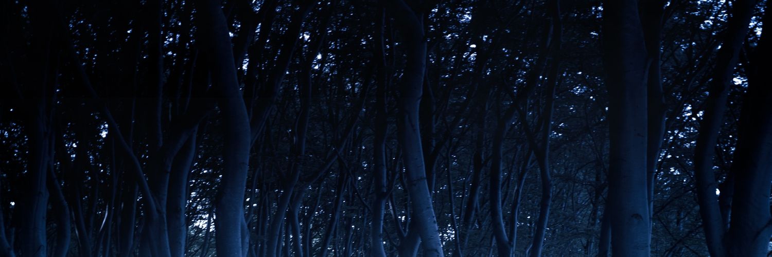 BlueRogueBoltz's profile banner image