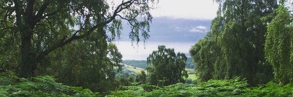 ionacapri Profile Banner