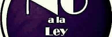 AlbertTapisser's profile banner image