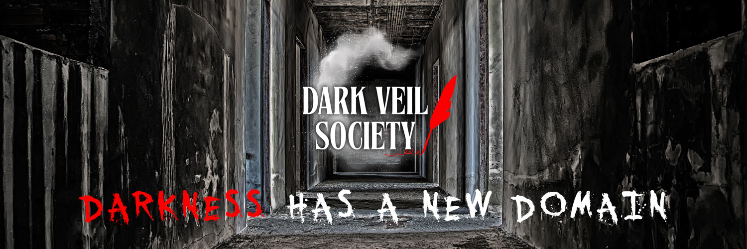 The Dark Veil Society's banner
