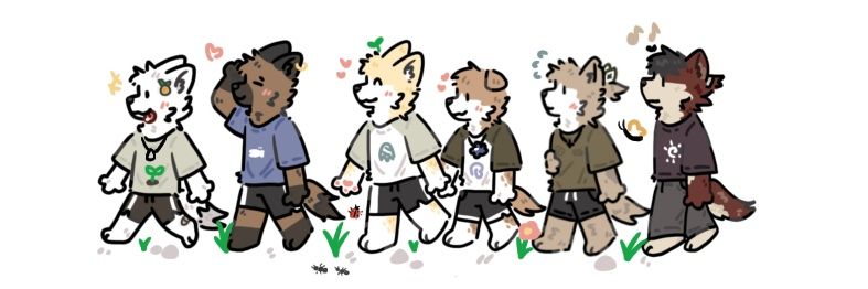 moie's banner