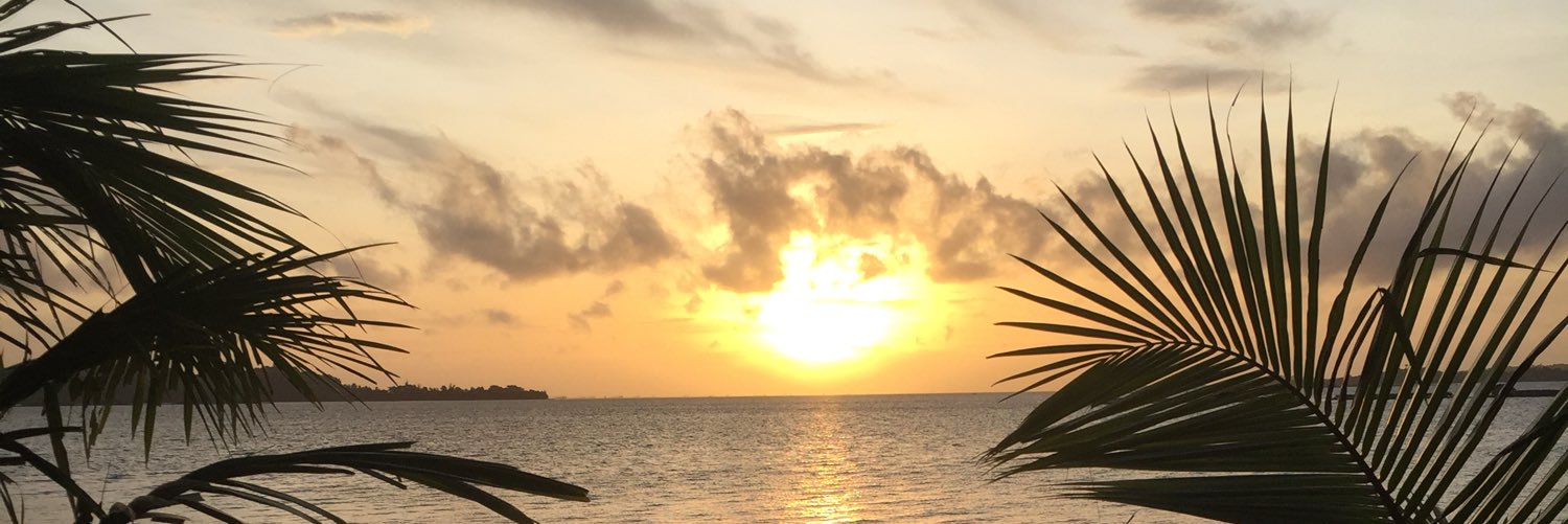 harveyvore_'s profile banner image