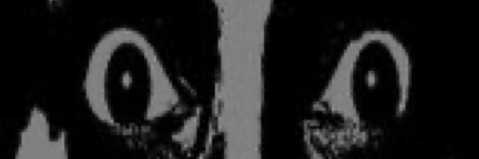 haze banner