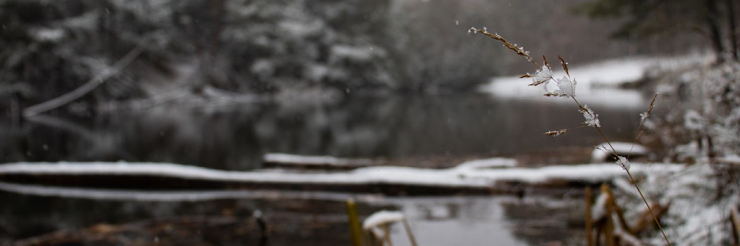 ScottyT3's profile banner image