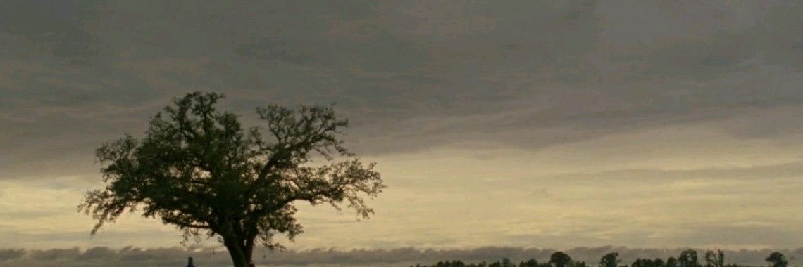 yan_9a's profile banner image