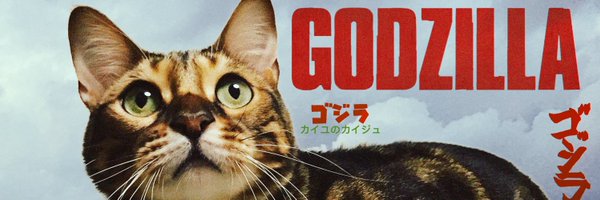 fermiparasocks Profile Banner