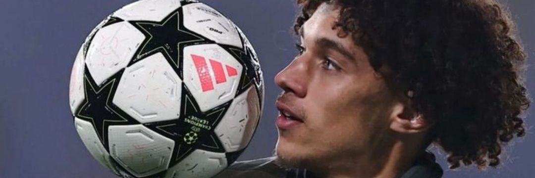 Raphaël Hascoët banner