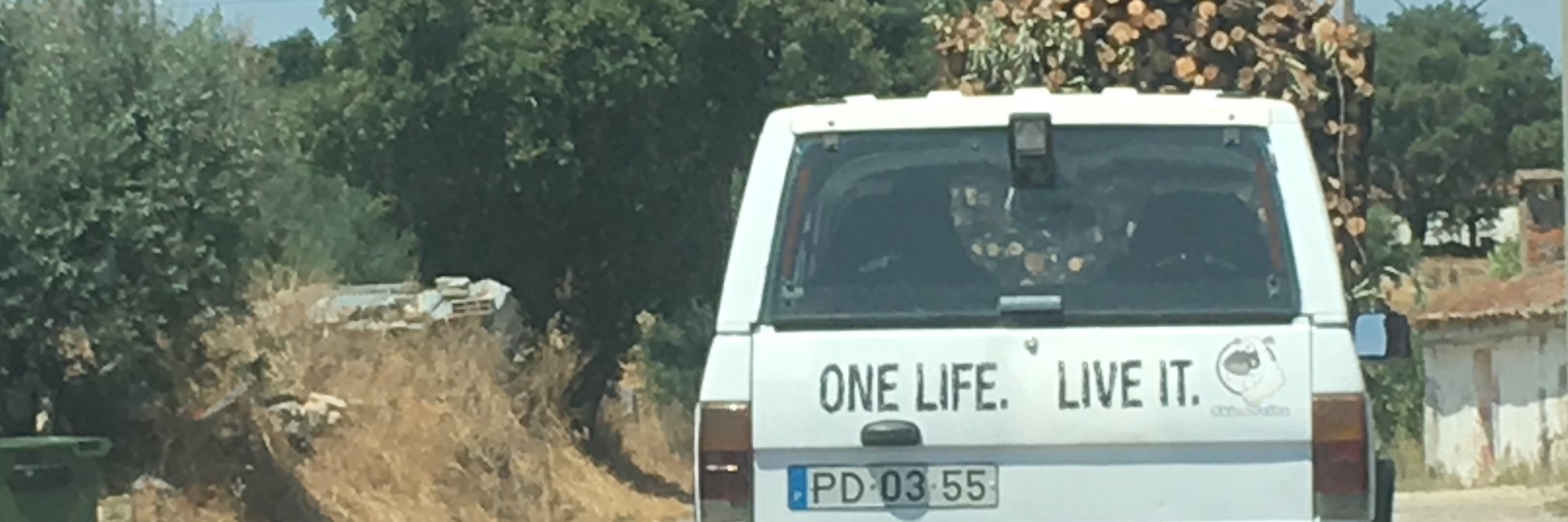 Ankie Kesseler banner