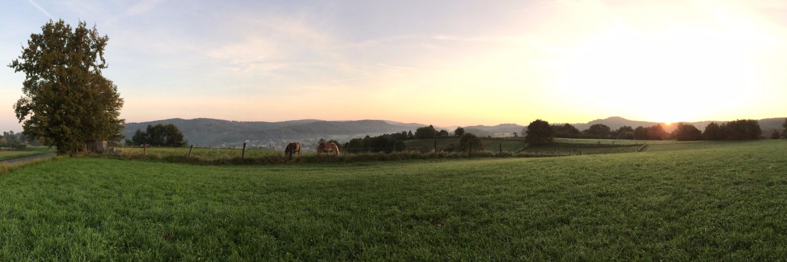 KevinHeppenheim's profile banner image