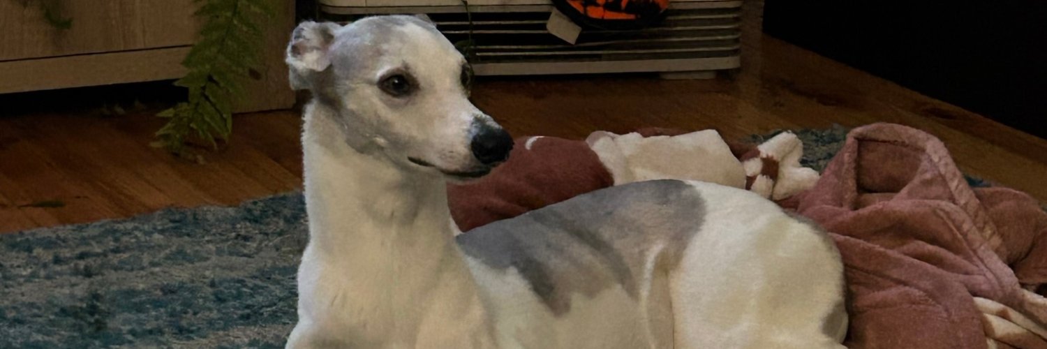 Andrew Meachen banner