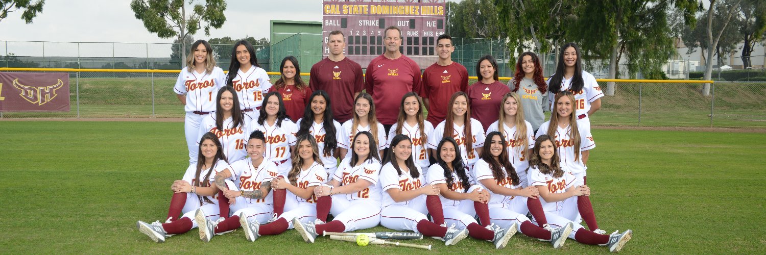Toros Softball banner