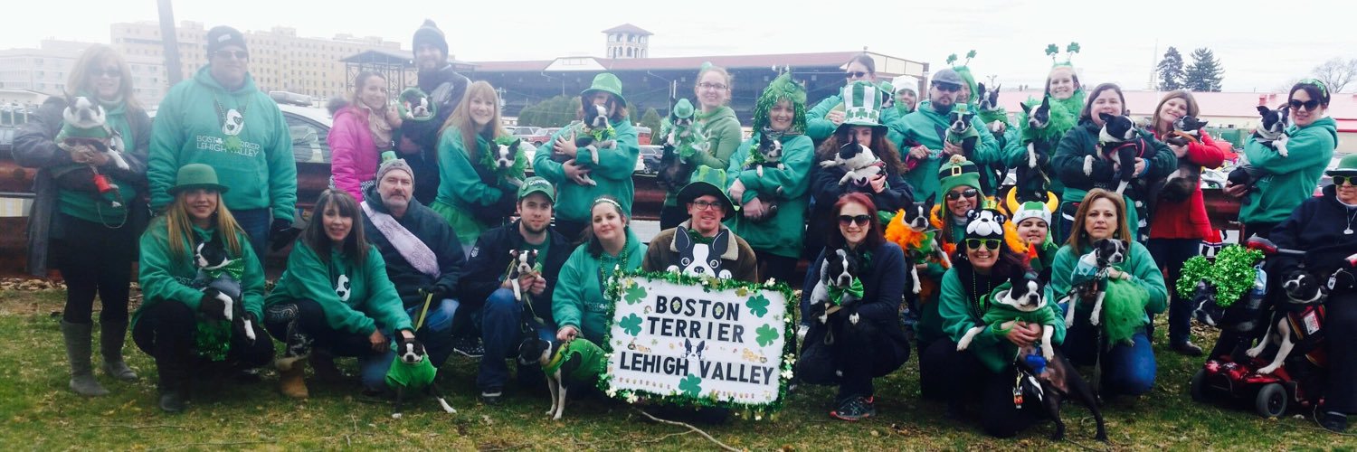 BostonTerrierLV's profile banner image