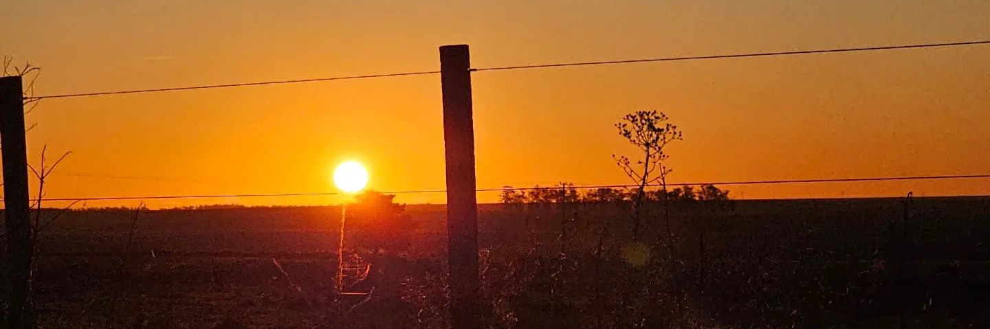mariolo89's profile banner image