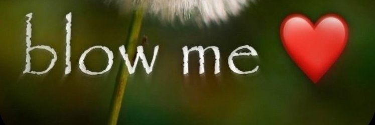 ventus but 𝓕𝓻𝓮𝓪𝓴𝔂🔞 banner