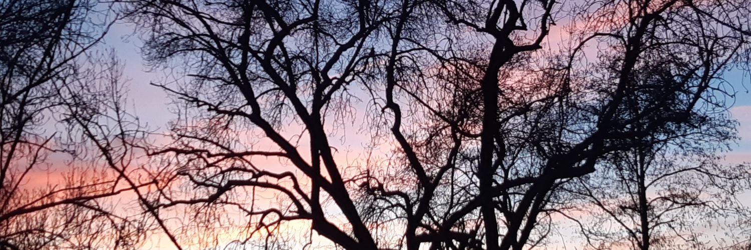 Angelacostas99's profile banner image