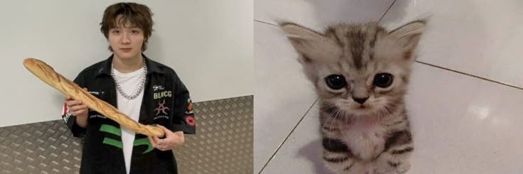 . banner