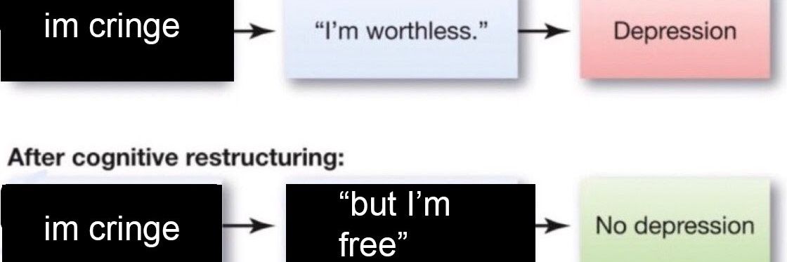 notafraidofbugs's profile banner image