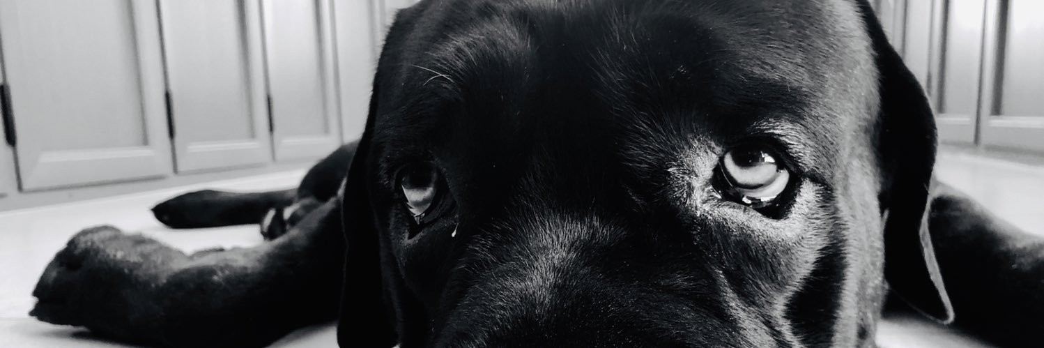 AdhishPR's profile banner image