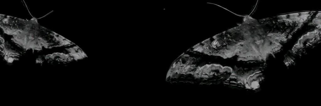 Le0n903's profile banner image