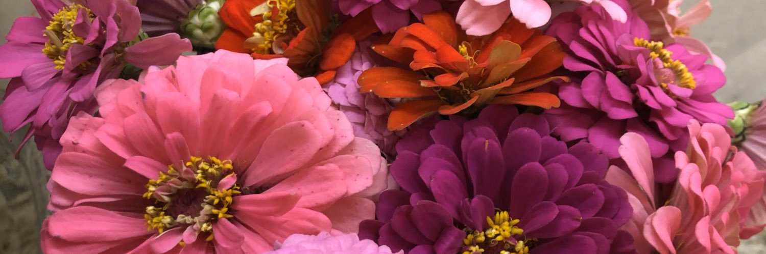 blofton1's profile banner image