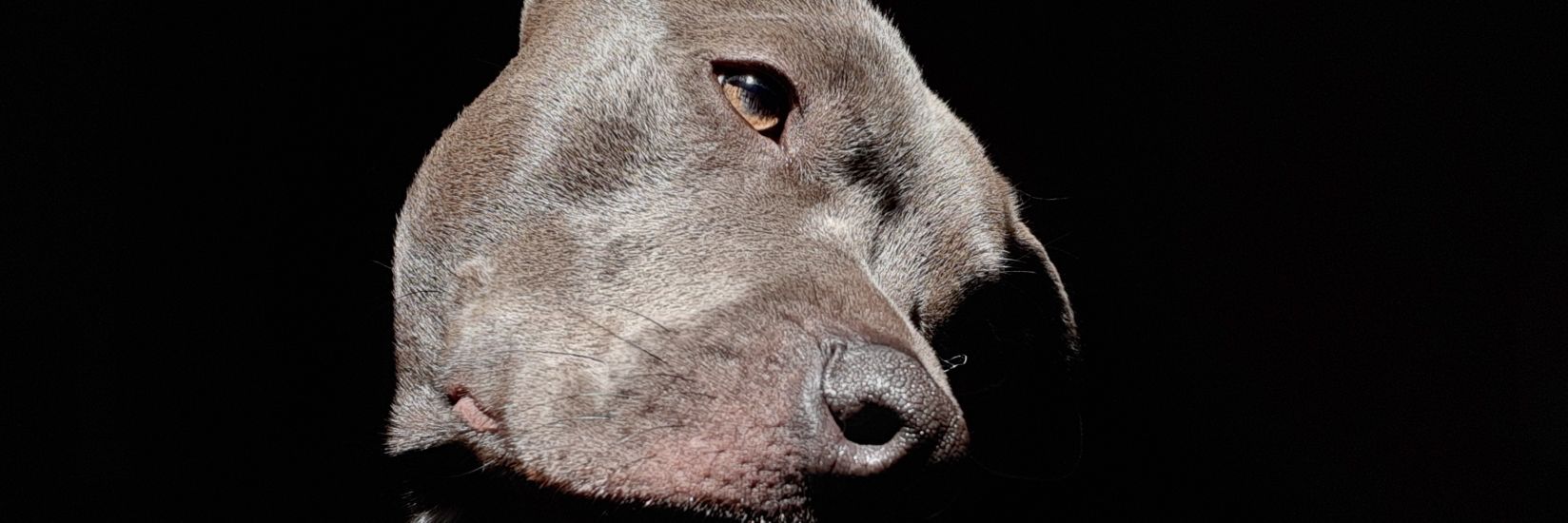 AgusBaron97's profile banner image