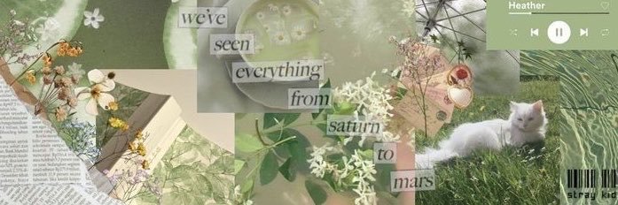 smgcult's profile banner image