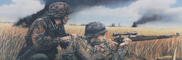 TerminatorReich Profile Banner