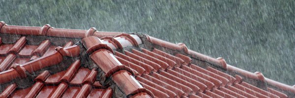 shikha Profile Banner