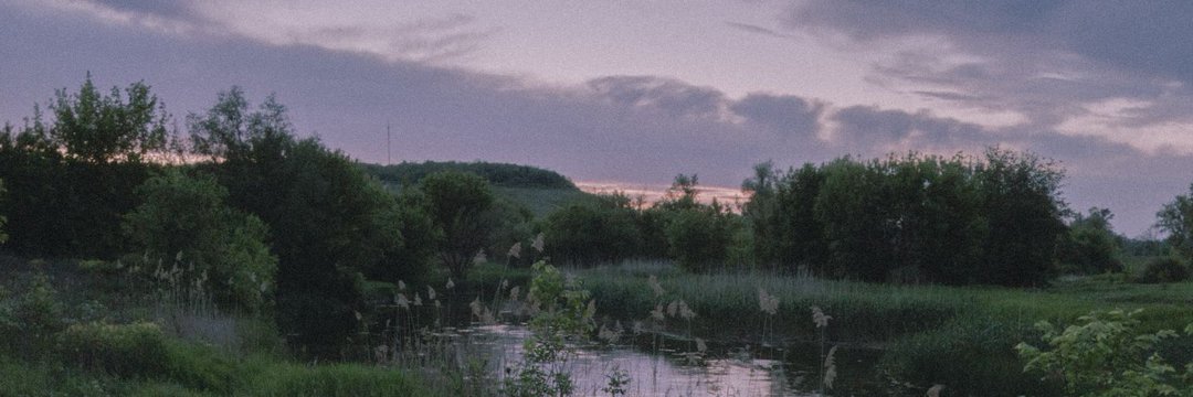 Старобільські Фрагменти🌾's banner