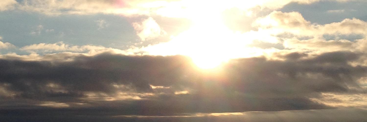 wiigen's profile banner image